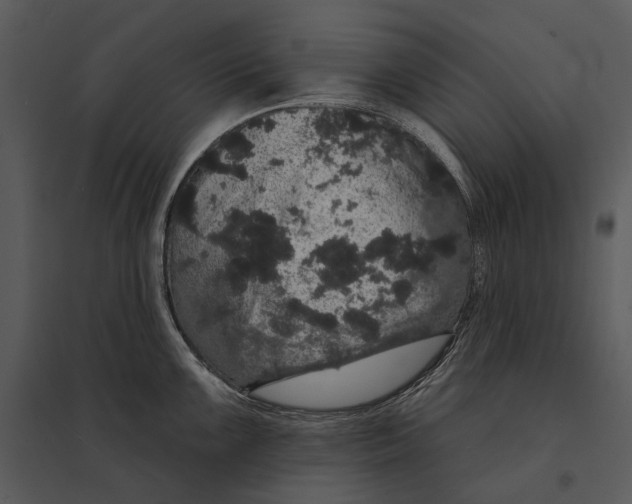 X0000095511099200801041154