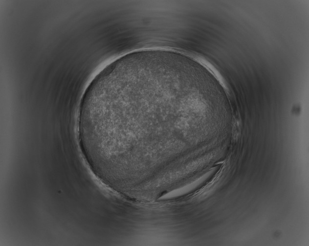 X0000095511101200801041154