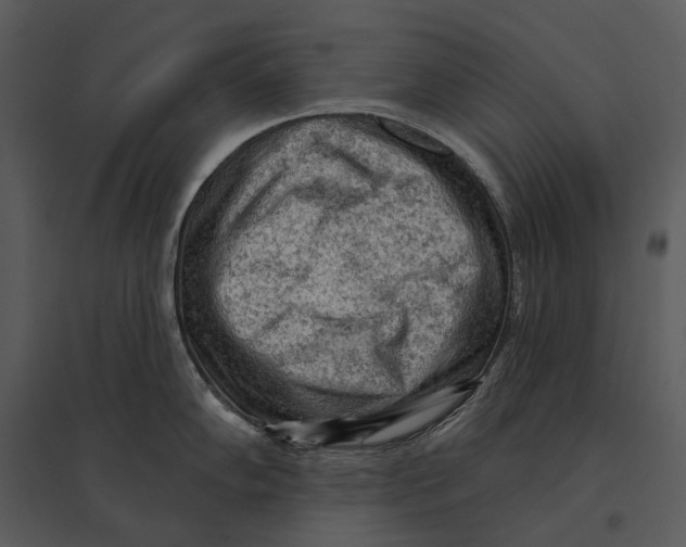 X0000095511102200801041154