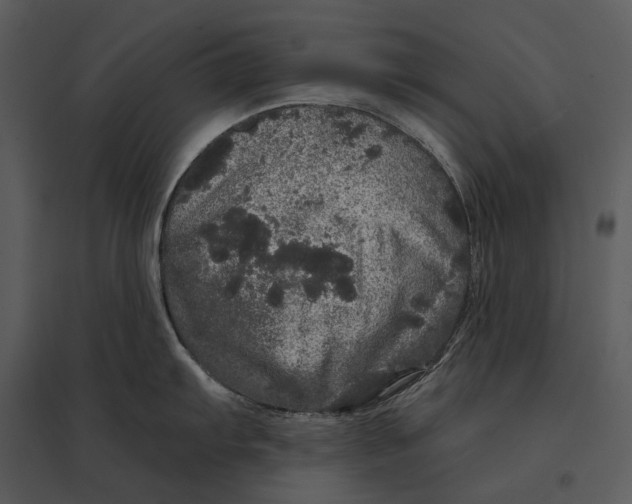 X0000095511103200801041154
