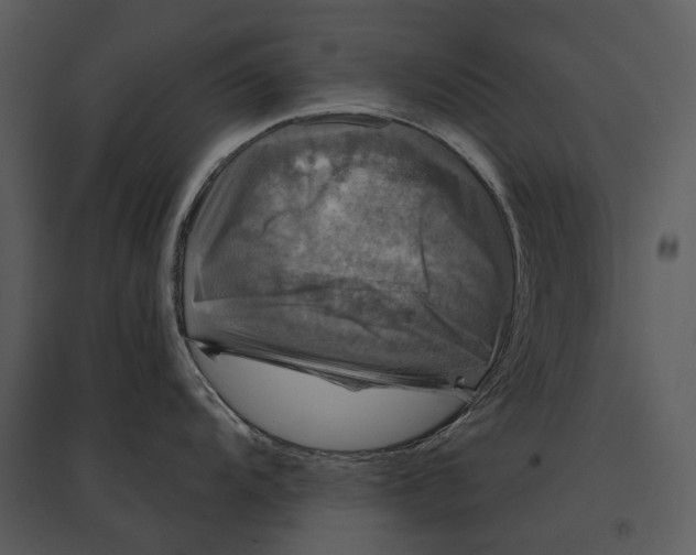 X0000095511104200801041154