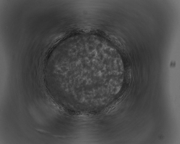 X0000095511105200801041153