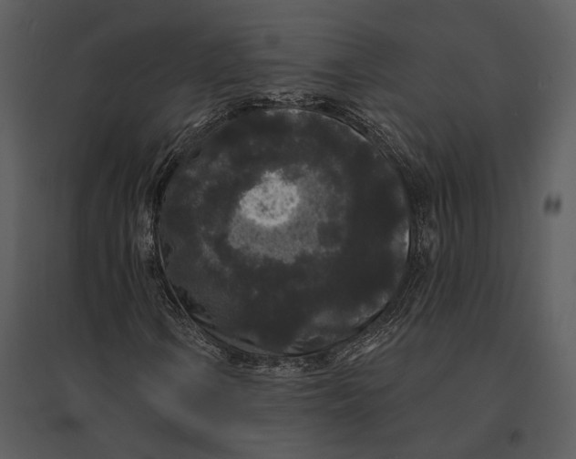 X0000095511106200801041153