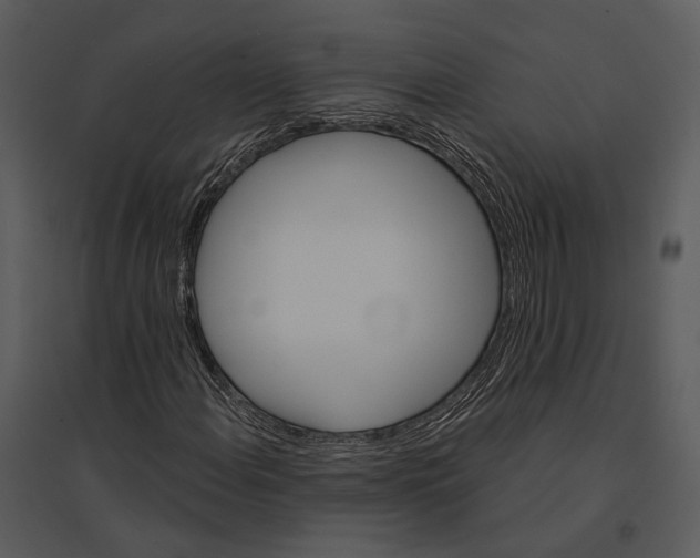X0000095511108200801041154