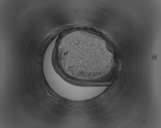 X0000095511110200801041154