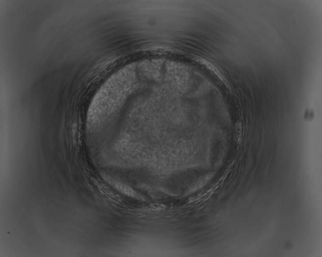 X0000095511111200801041154