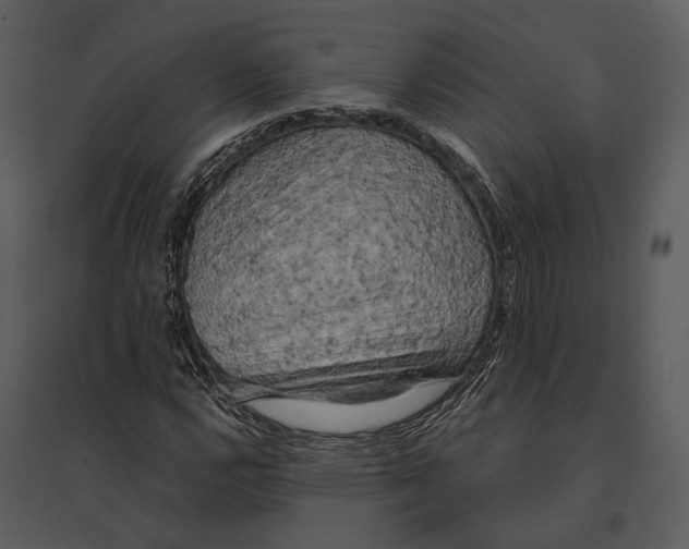 X0000095511112200801041154