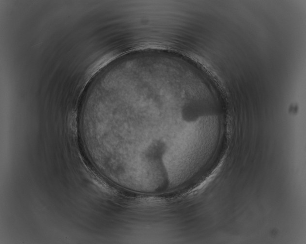 X0000095511113200801041154