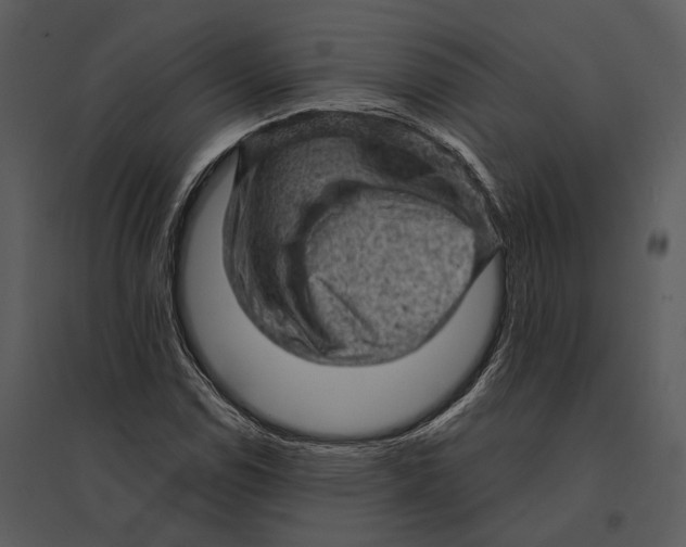 X0000095511114200801041154