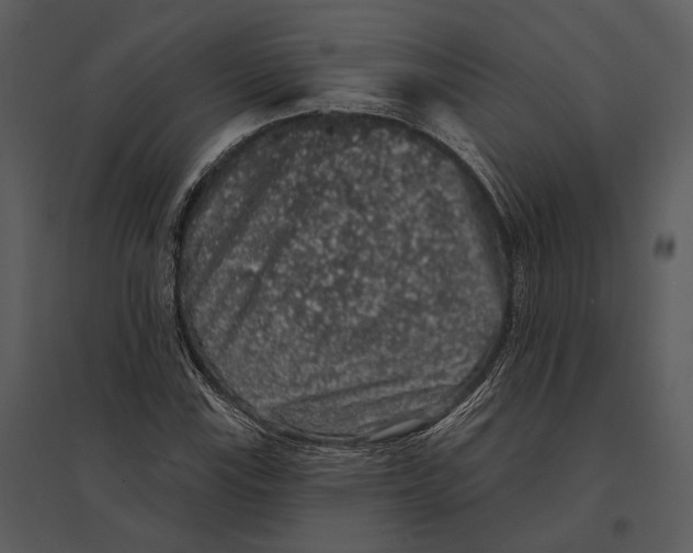 X0000095511115200801041154