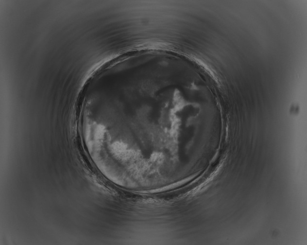 X0000095511117200801041154