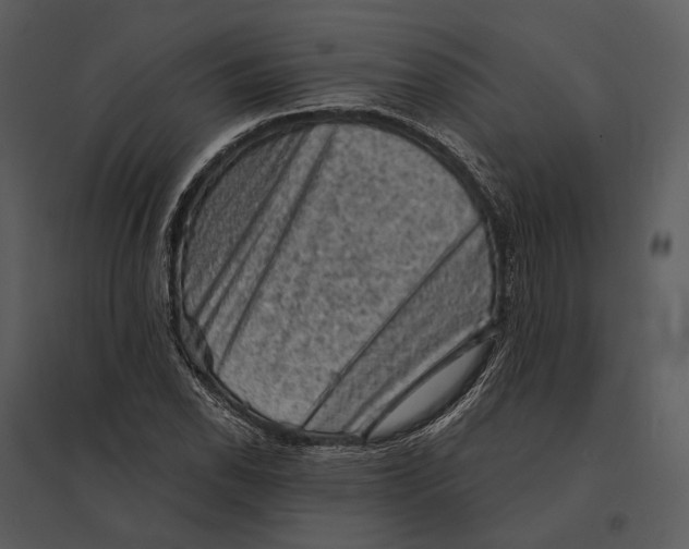 X0000095511118200801041154
