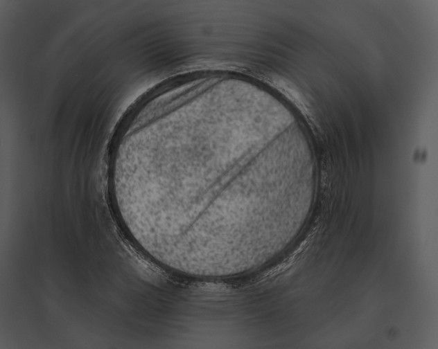 X0000095511119200801041154
