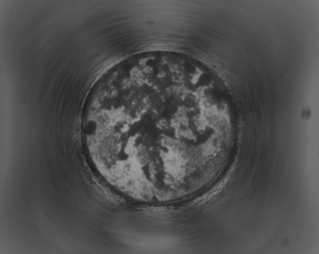 X0000095511121200801041154
