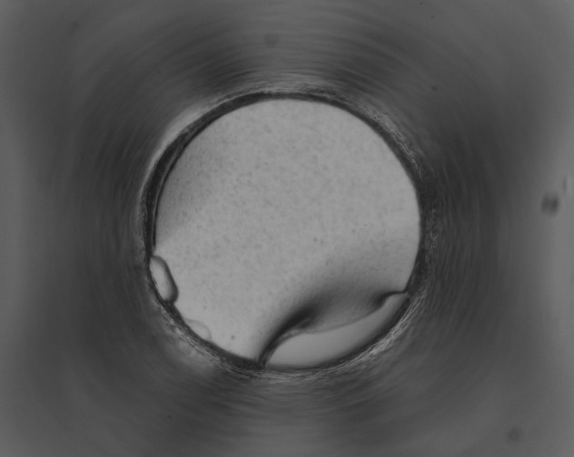 X0000095511122200801041154