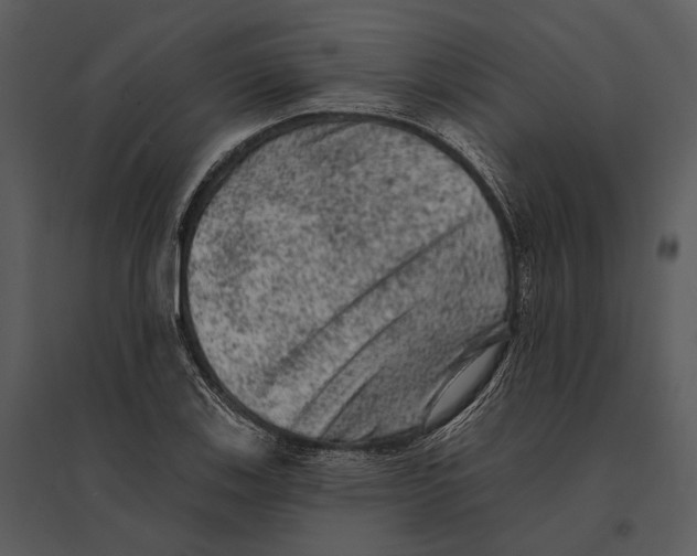 X0000095511123200801041154