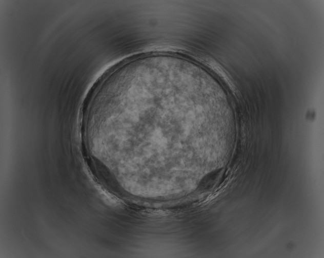 X0000095511124200801041154