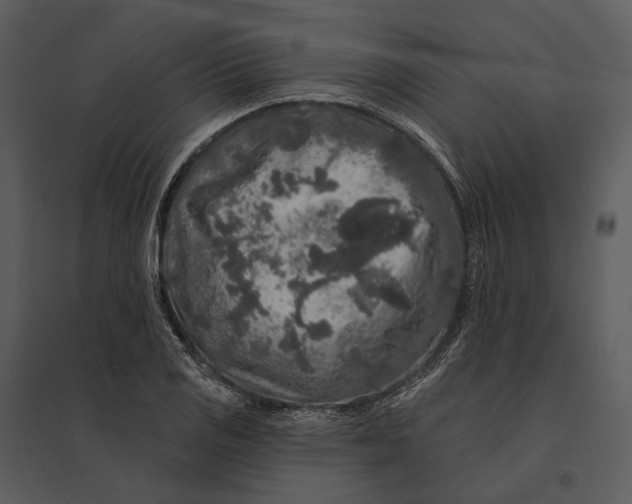 X0000095511125200801041154