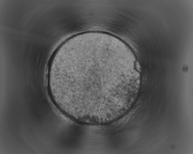 X0000095511126200801041154