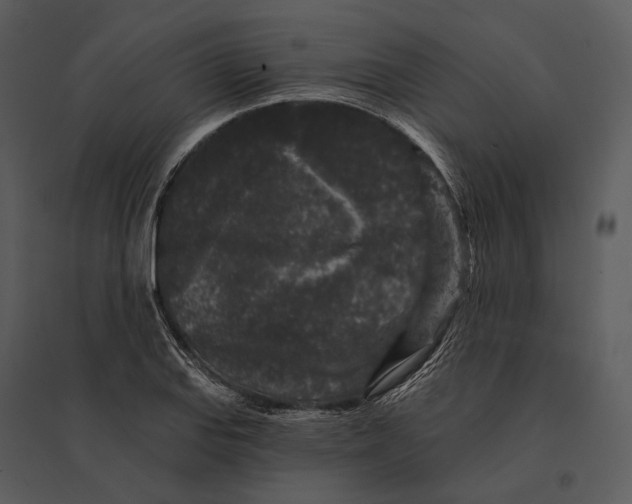 X0000095511127200801041154