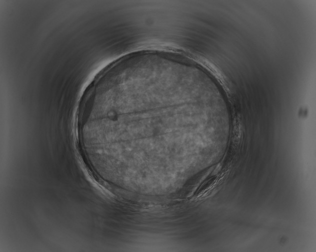 X0000095511128200801041154