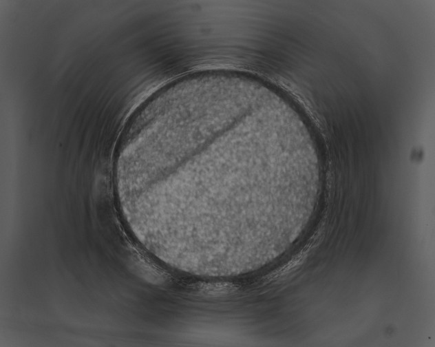 X0000095511129200801041154