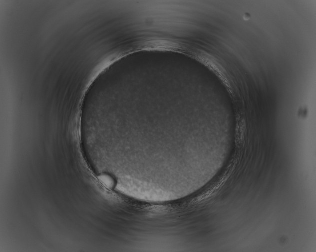 X0000095511130200801041154
