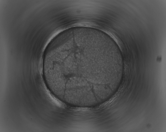 X0000095511131200801041154