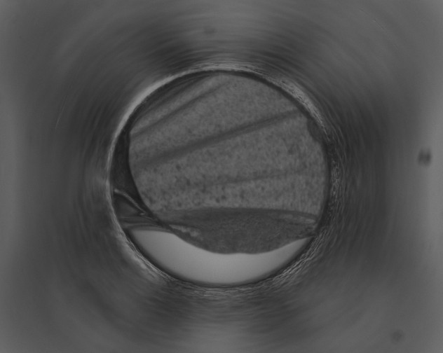 X0000095511132200801041154