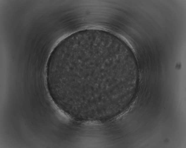 X0000095511133200801041154