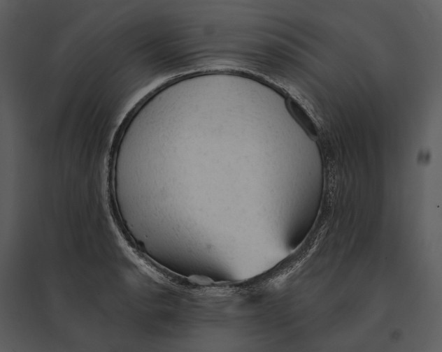 X0000095511134200801041154
