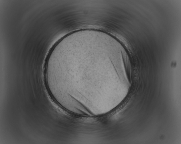 X0000095511135200801041154