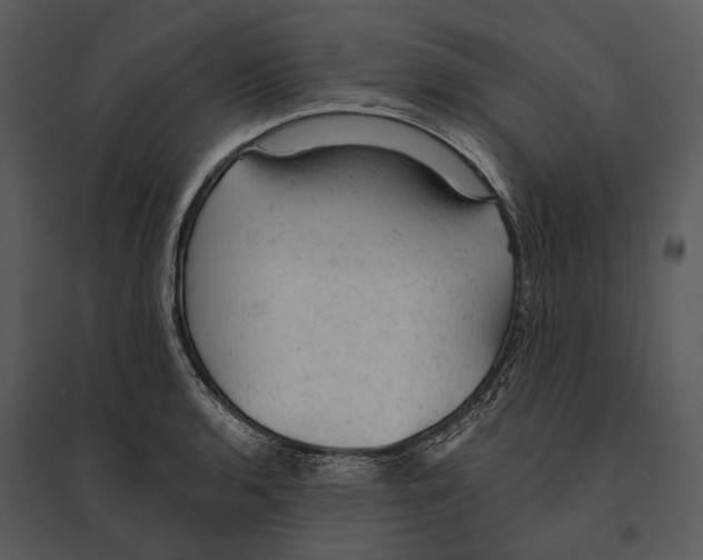 X0000095511136200801041154