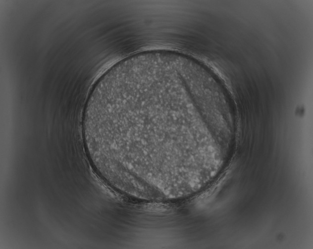 X0000095511137200801041154