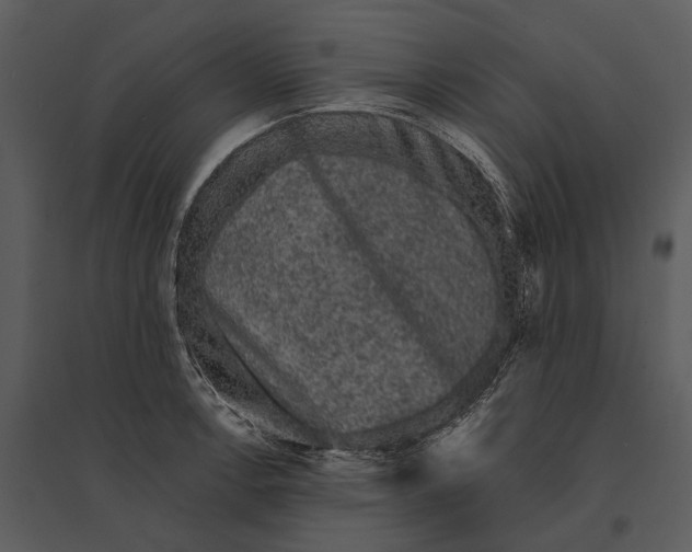 X0000095511138200801041154