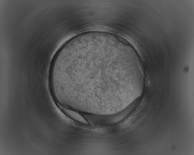X0000095511139200801041154