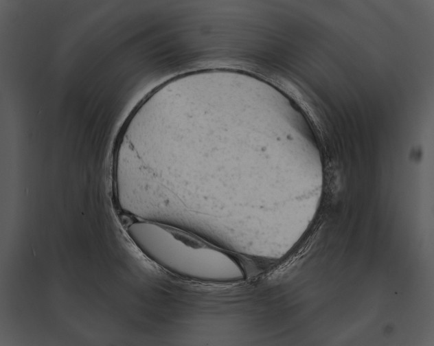 X0000095511140200801041154