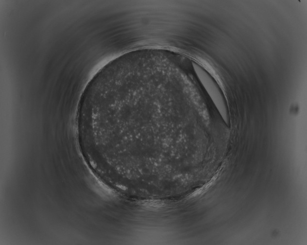 X0000095511141200801041154