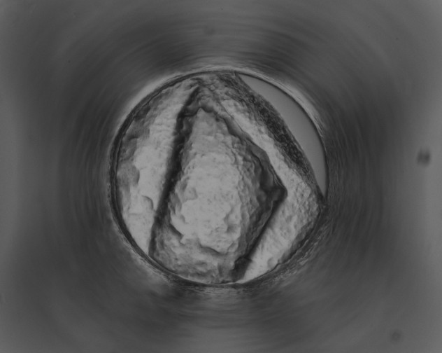 X0000095511142200801041154