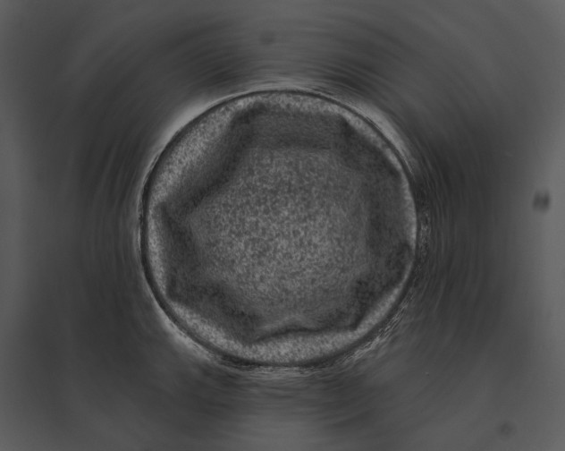 X0000095511143200801041154