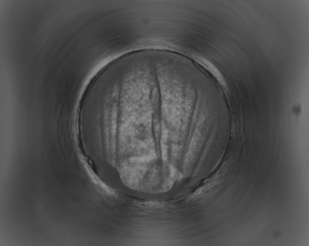 X0000095511144200801041154