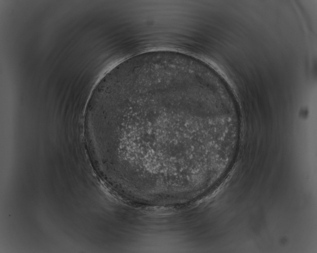 X0000095511145200801041154