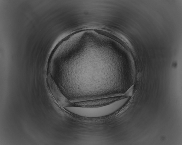 X0000095511146200801041154