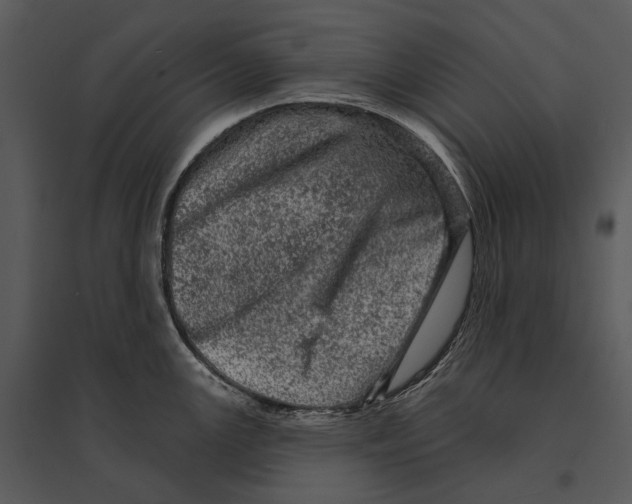 X0000095511147200801041154