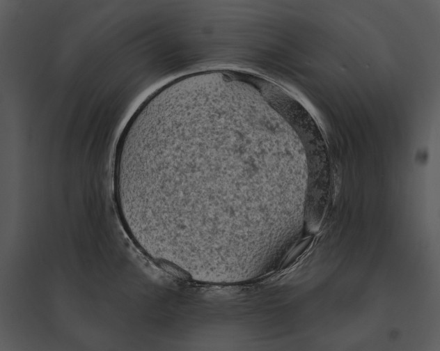 X0000095511148200801041154