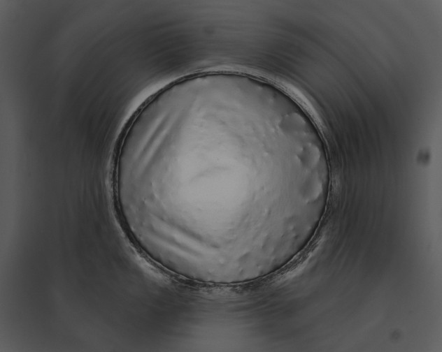 X0000095511149200801041154
