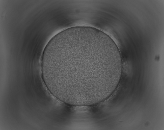 X0000095511150200801041154