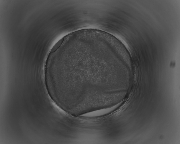 X0000095511151200801041154