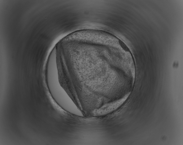X0000095511152200801041154