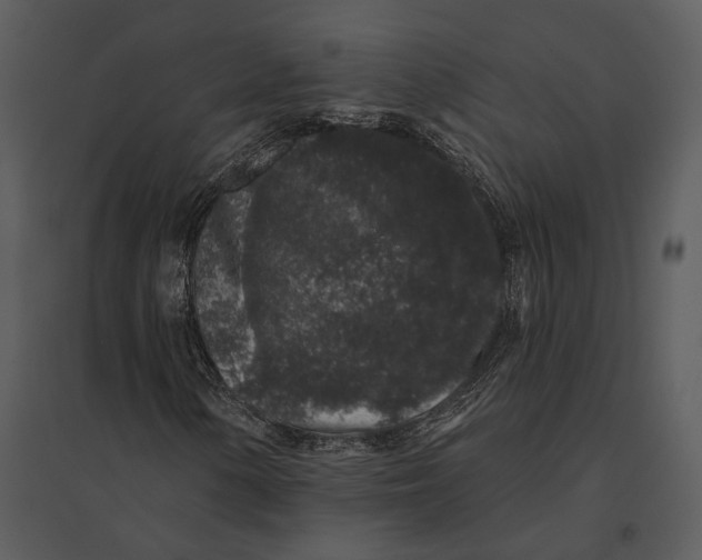 X0000095511154200801041153